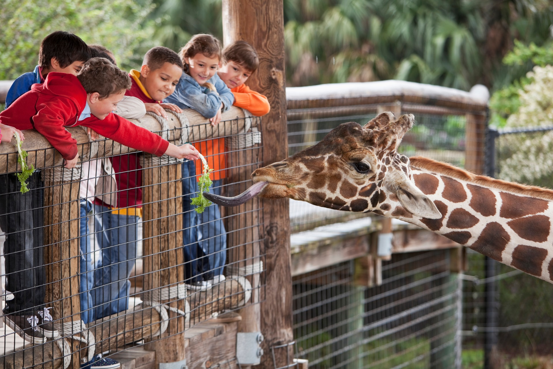 Niños en el zoologico