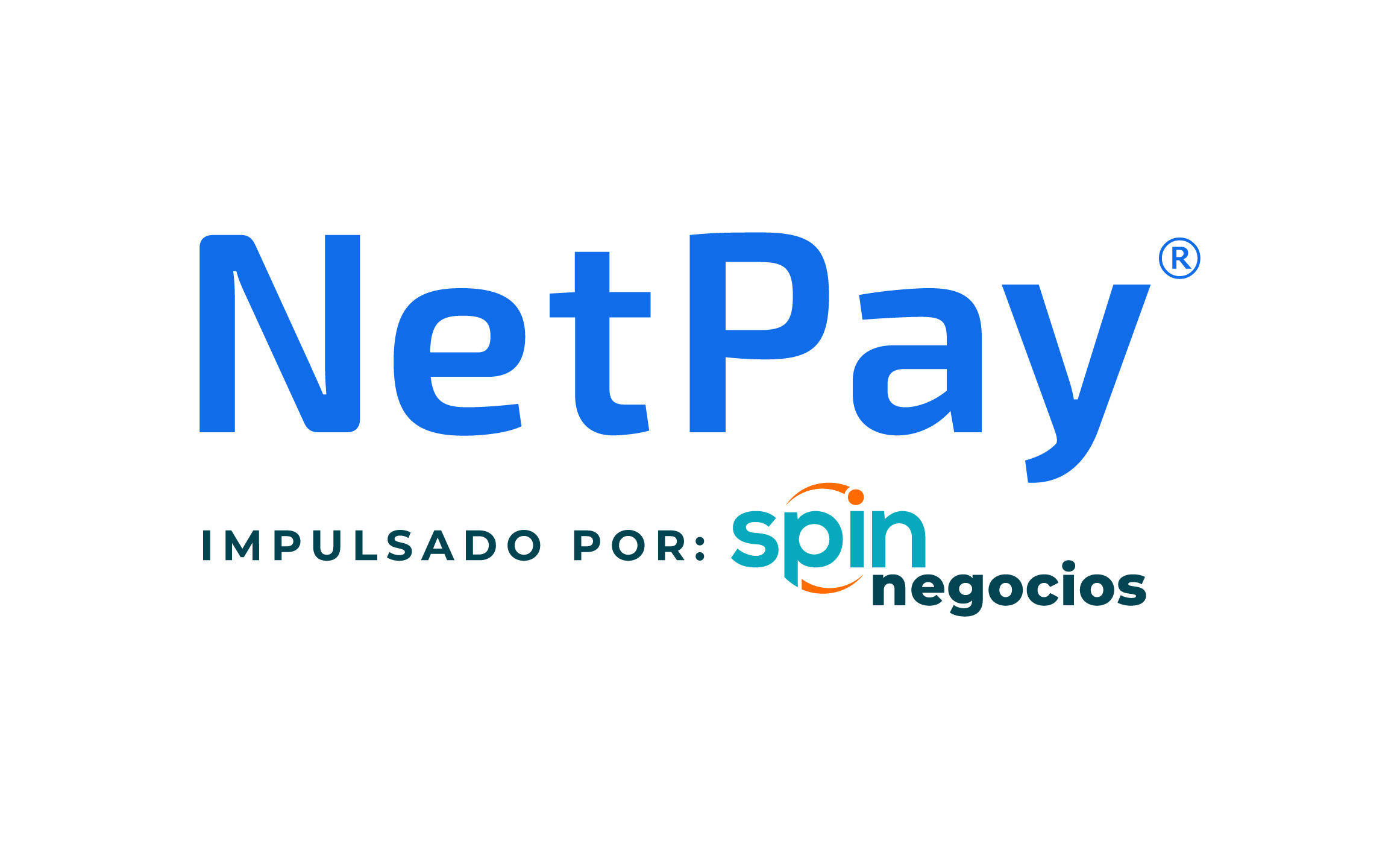 Logo NetPay