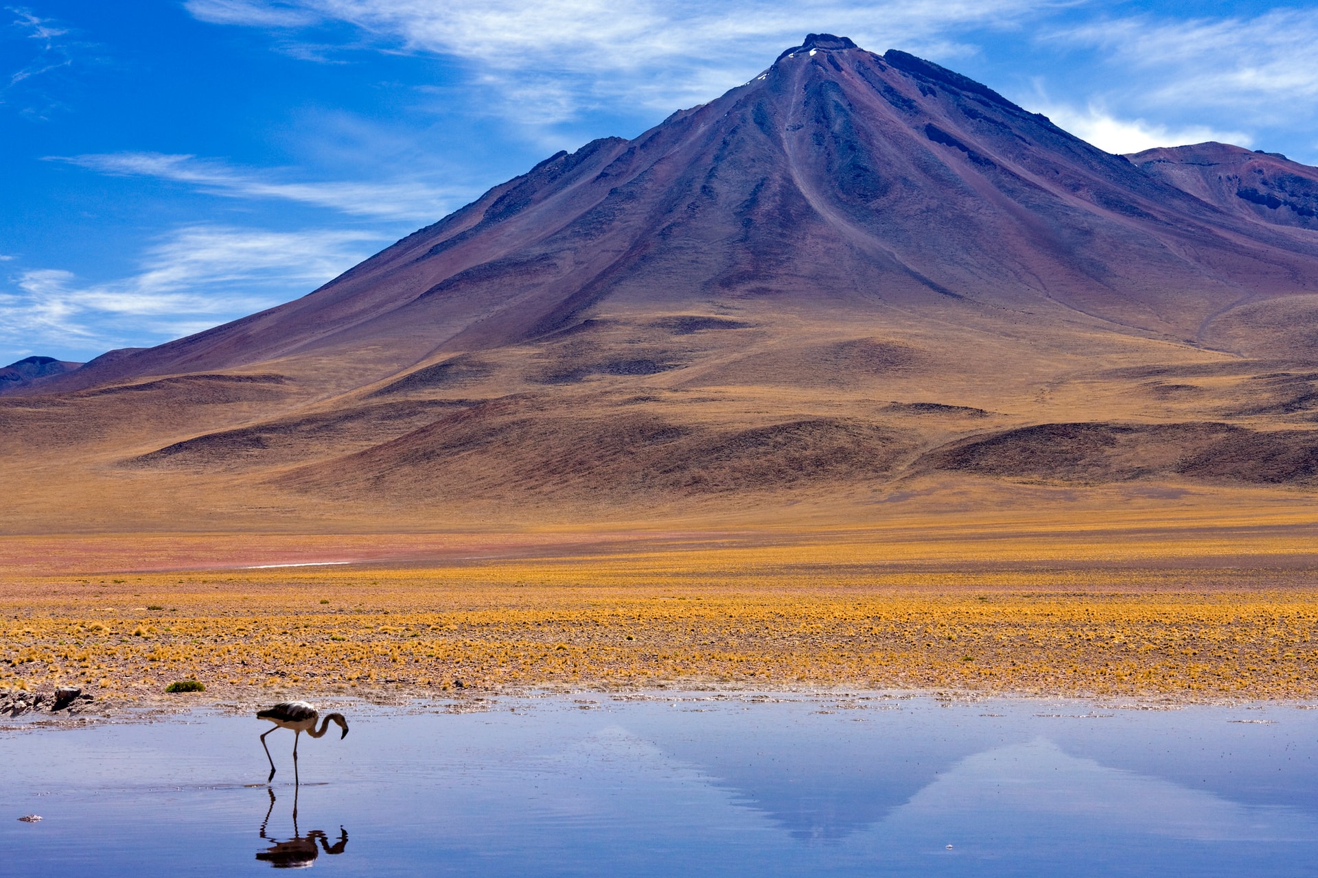 desierto de atacama chile