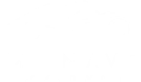 MiNave logo