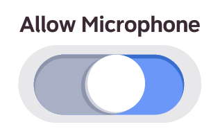 allow microphone