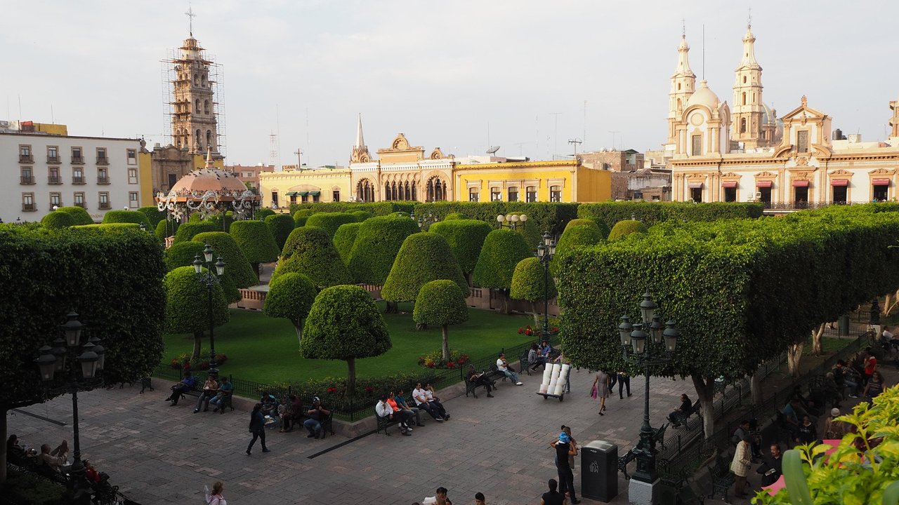 León