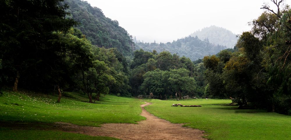 Parques atractivos, Los Dinamos Ciudad de México