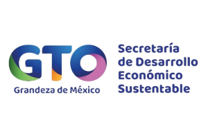 Logo Guanajuato