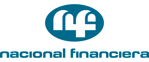 Logo NAFIN