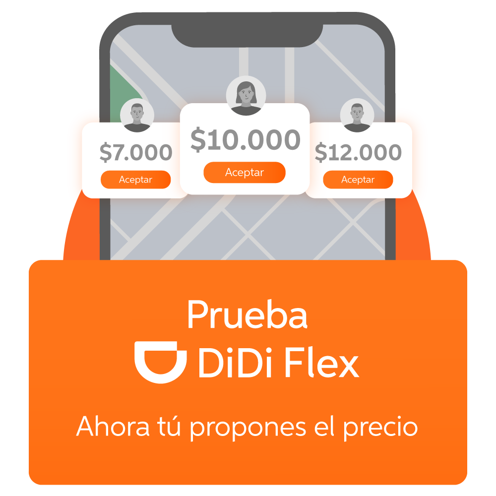 DiDi Flex Features