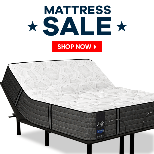 Therapedic Sapphire Low Profile Queen Mattress Set - Rooms ...