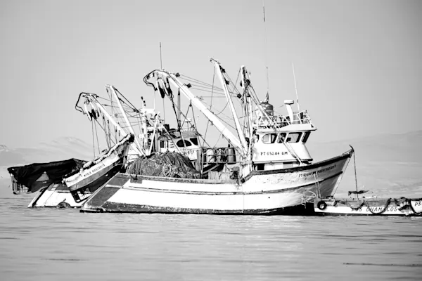 Fishing Boats, Peruvian Coast