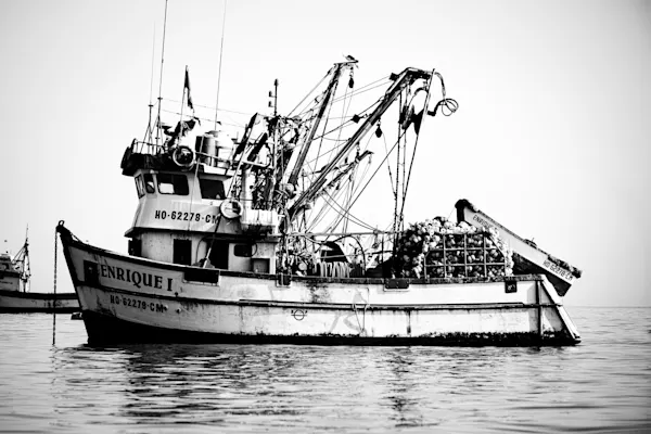 Fishing Trawler Enrique I, Peruvian Coast