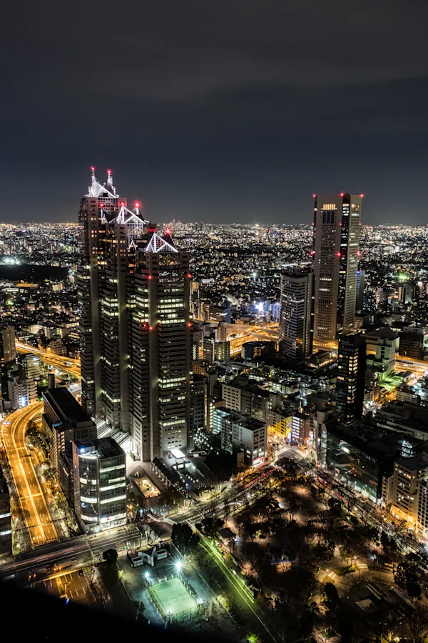 Shinjuku Skyline at Night, Tokyo