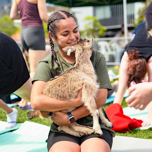 Goat Yoga