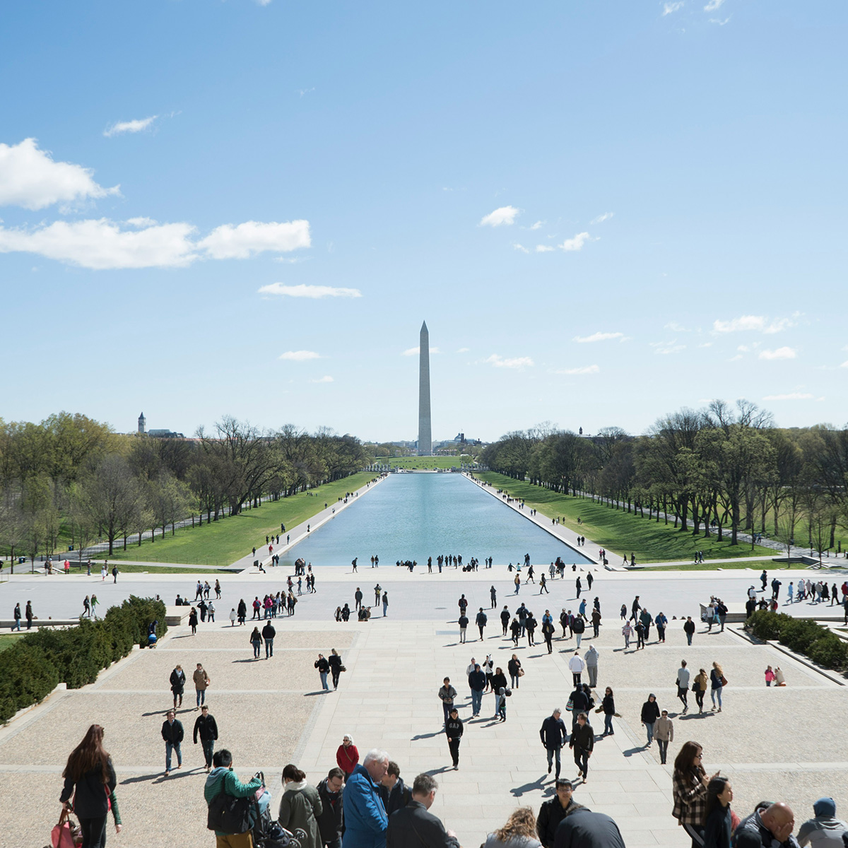 Live the midterm elections in the US