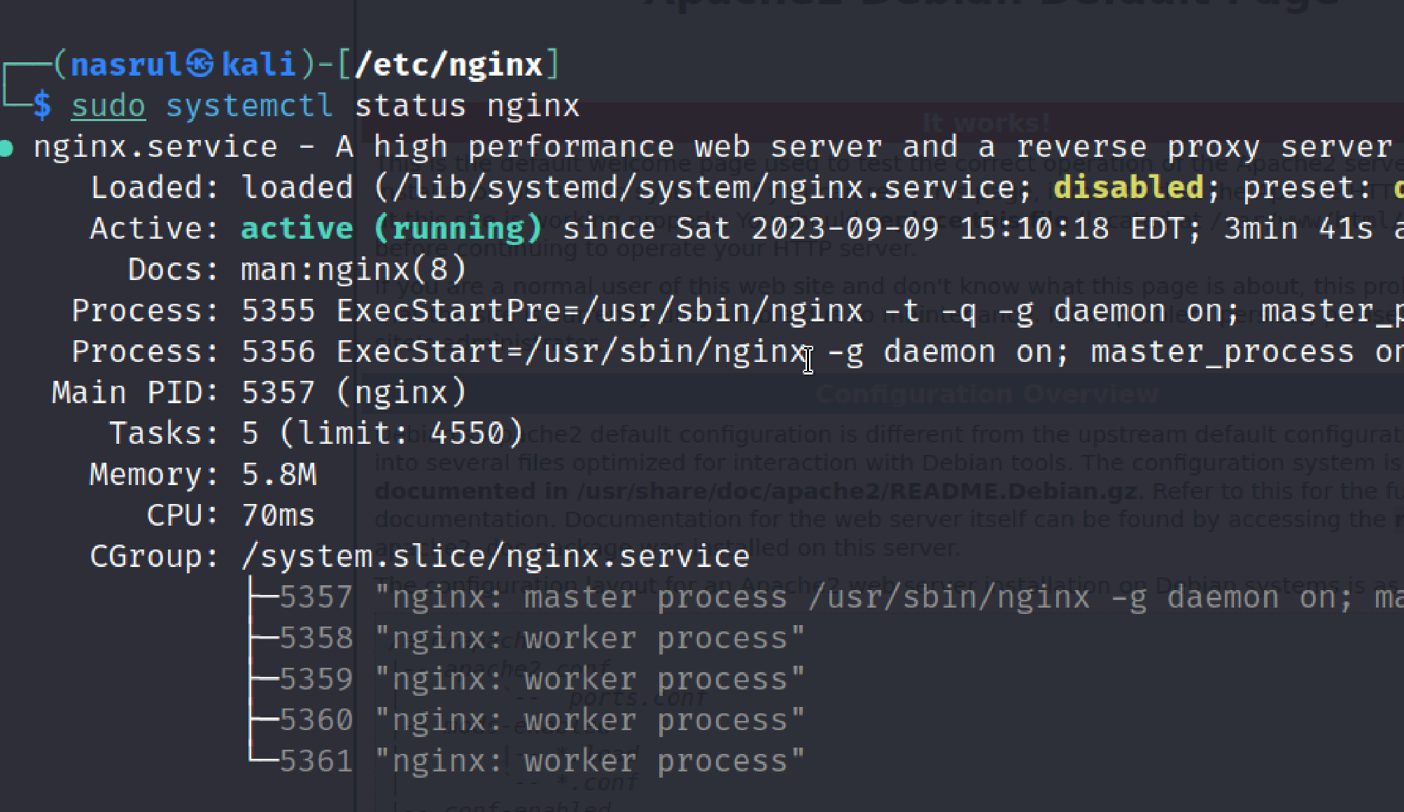 systemctl status nginx