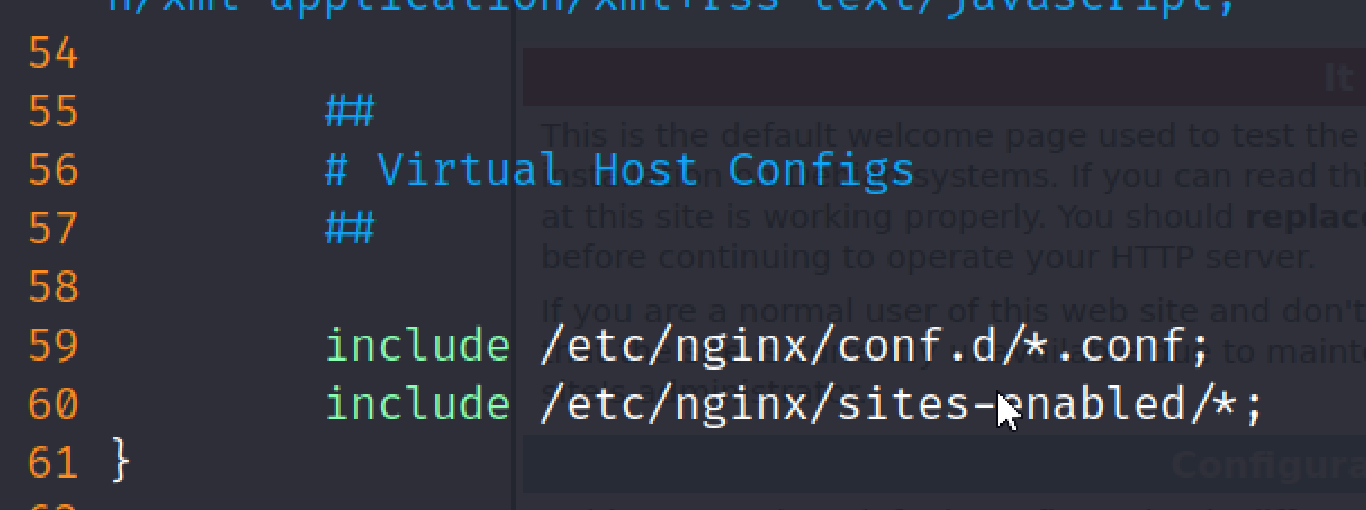 nginx-conf1