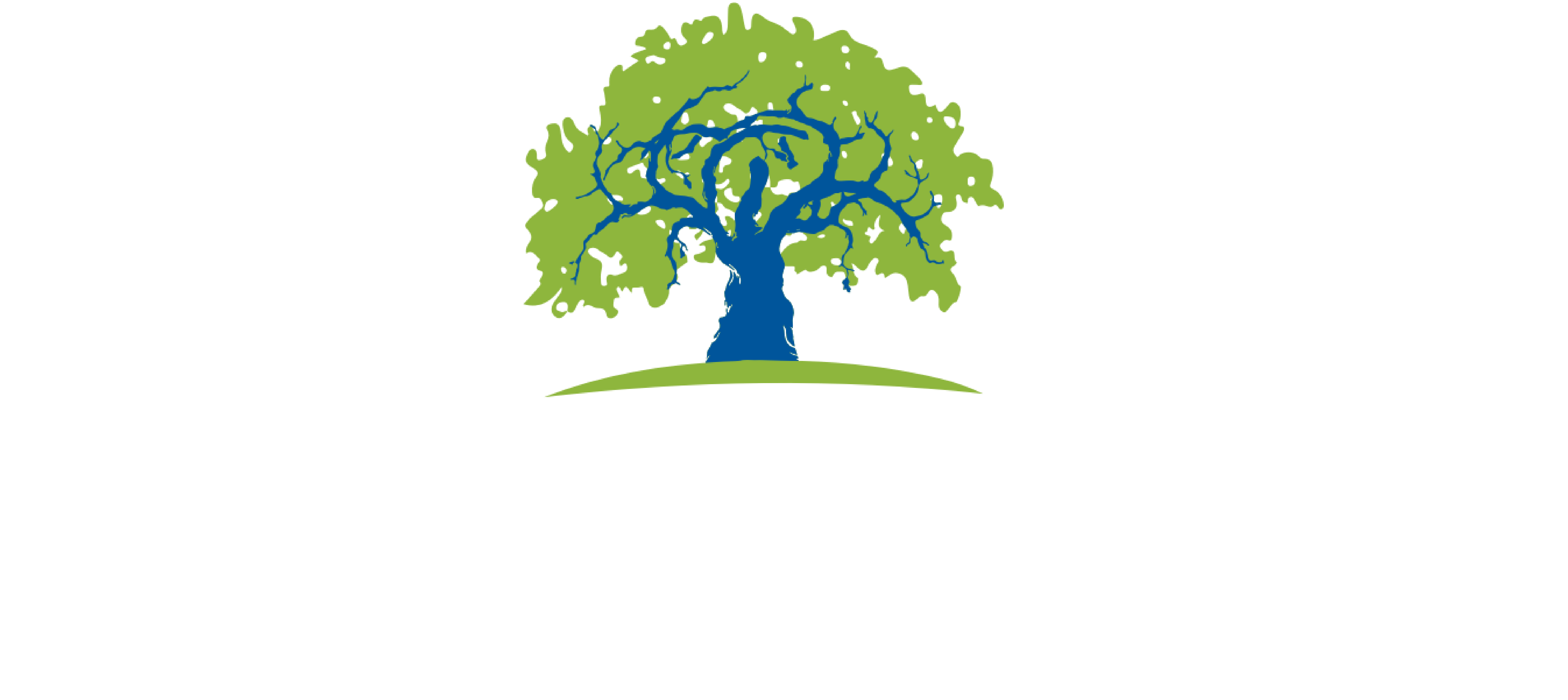 Financial Planning Logo White