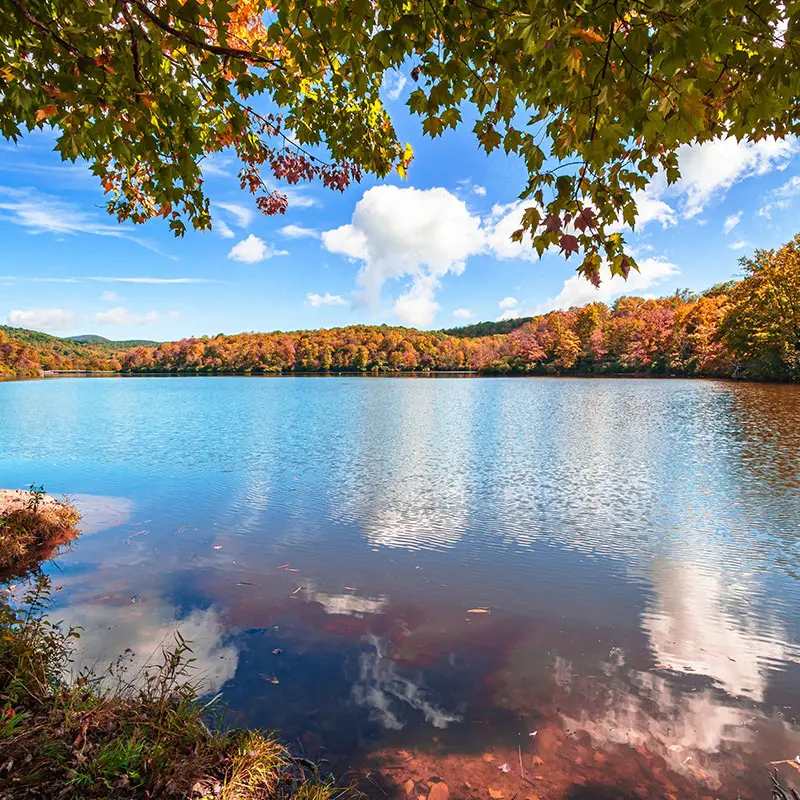 Stearns - How We Focus on Business Owners