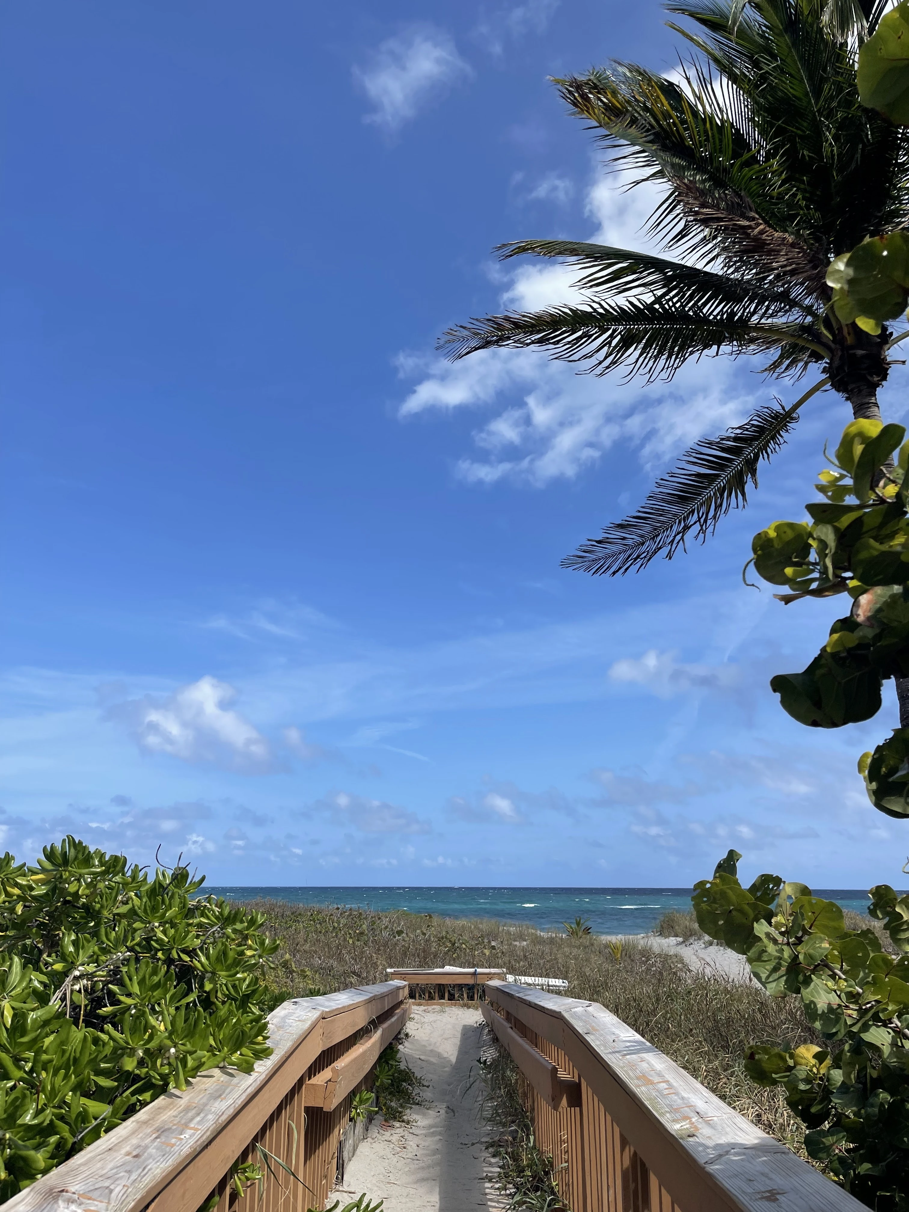 pathway to a beautiful ocean and beach 