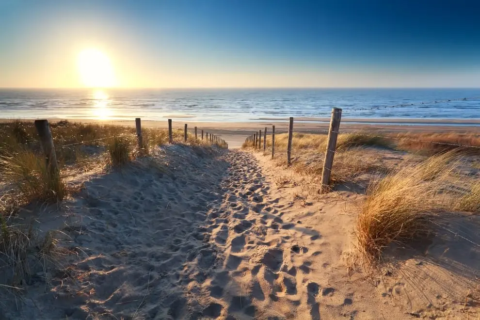 Path to a sandy beach