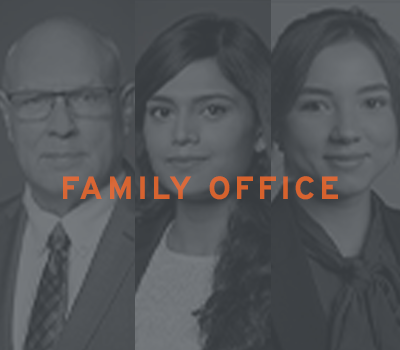 Family Office Icon