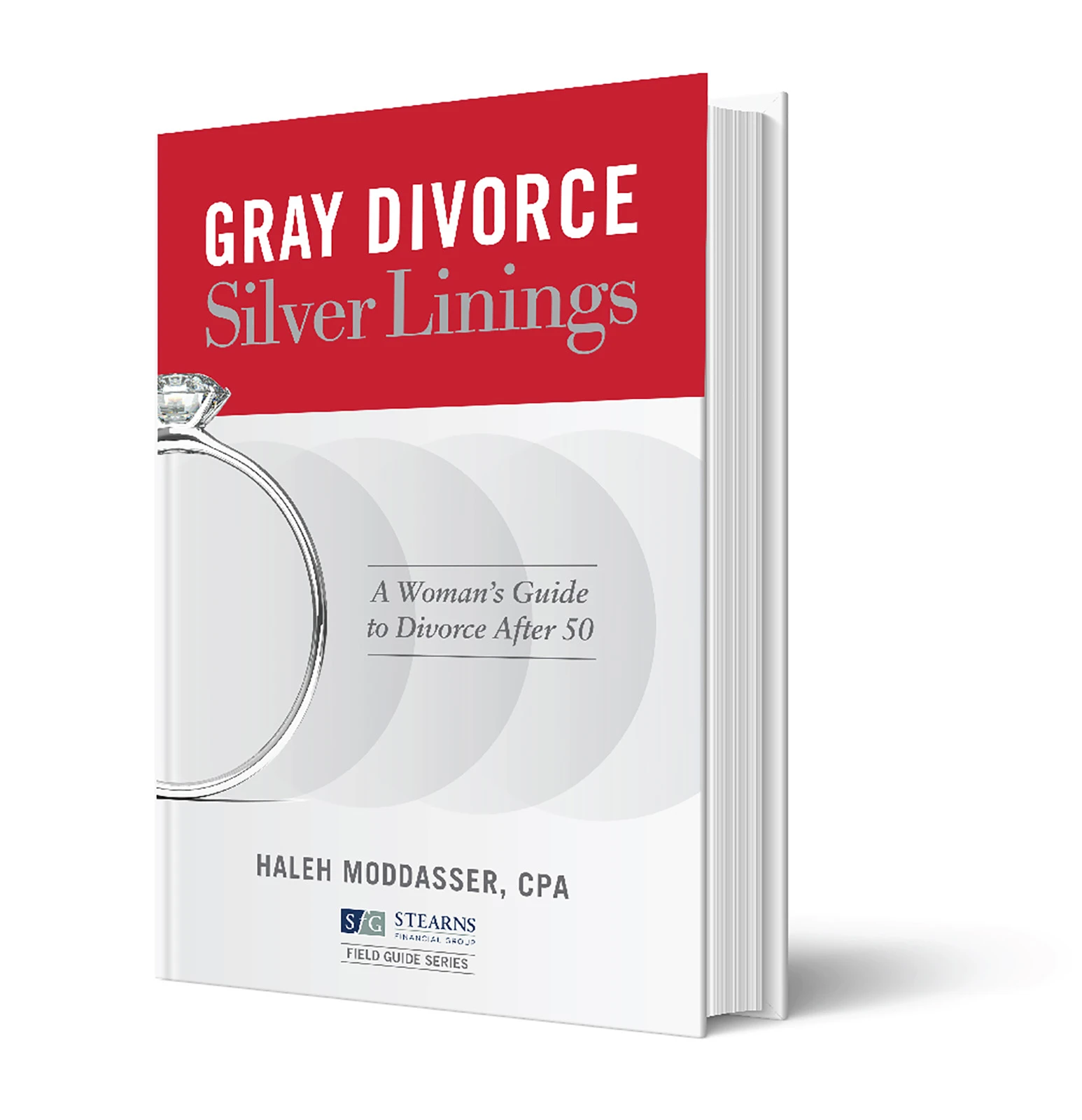 Haleh Moddasser Gray Divoice Silver Linings Book Cover