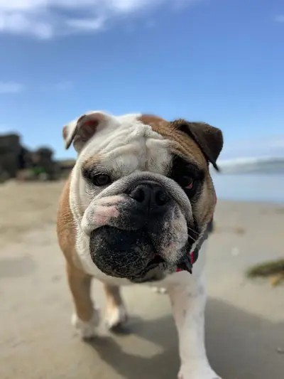 Ann Marie Trepkowski Bio Image