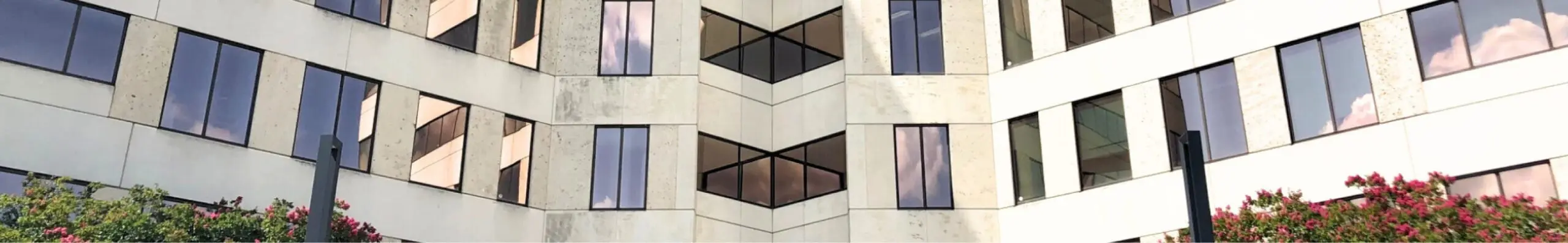 Smith Anglin Building Hero
