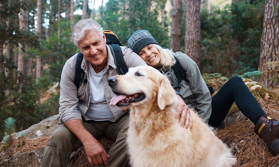 White Pine - Couple with Dog in Woods