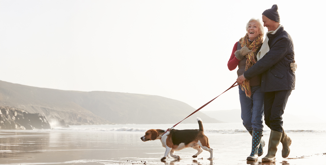 happy couple walking dog at beach