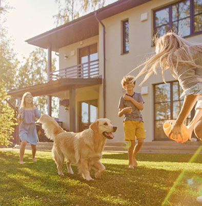 Alexandria safeguard your assets family outside with dog