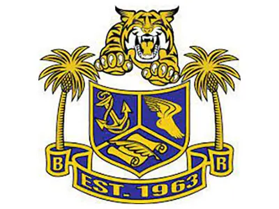 D3 BCHS Logo