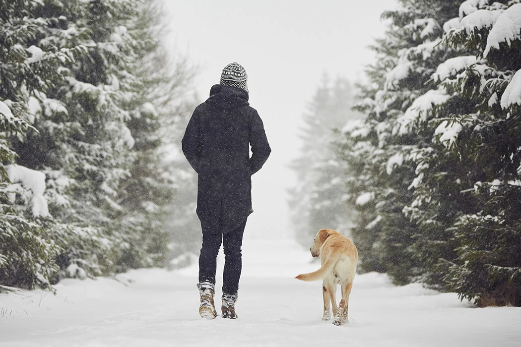 Woman and dog walking down a snow covered path