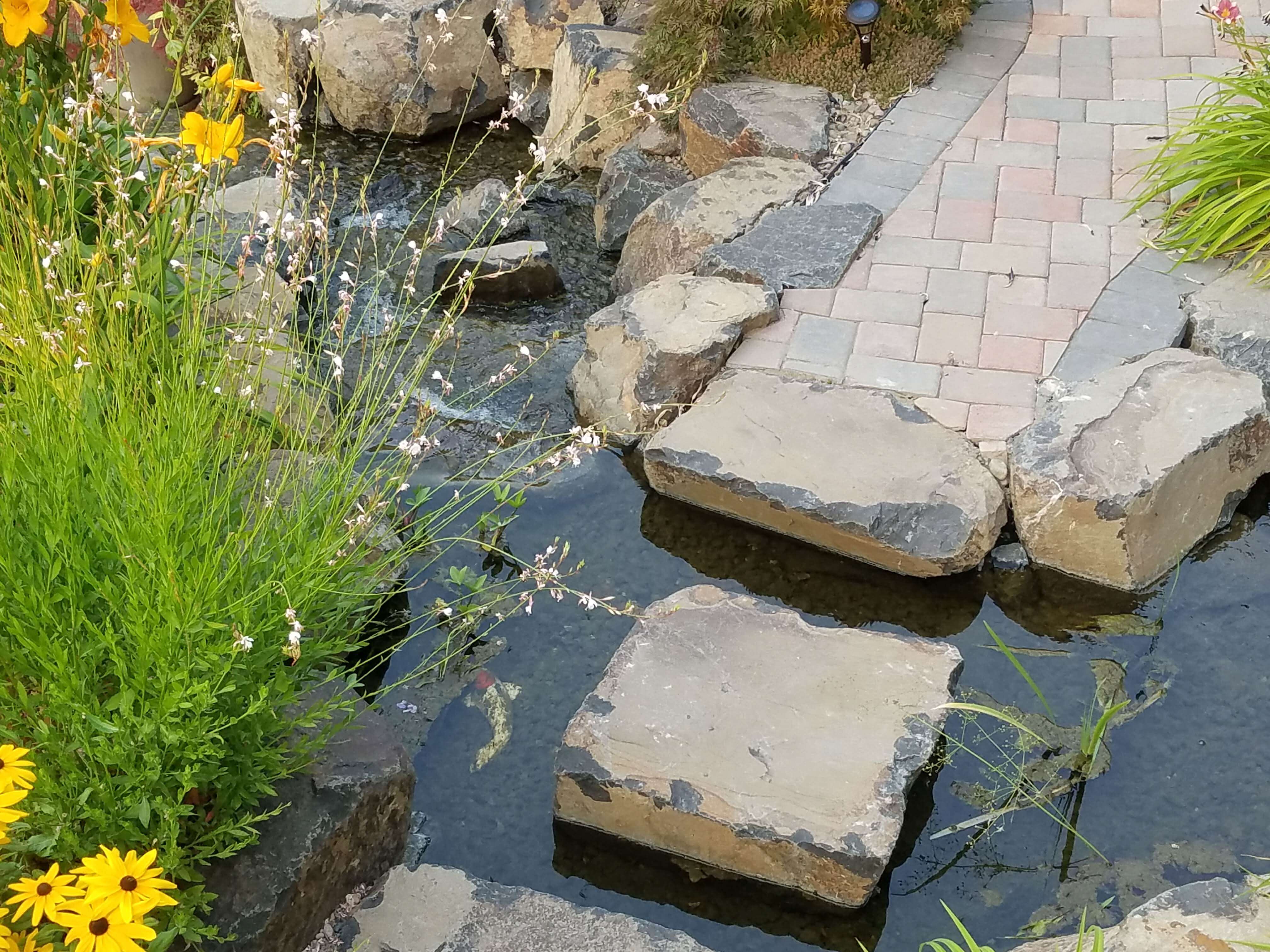 Stepping Stones Through Stream Andreatta Waterscapes Ashland Oregon