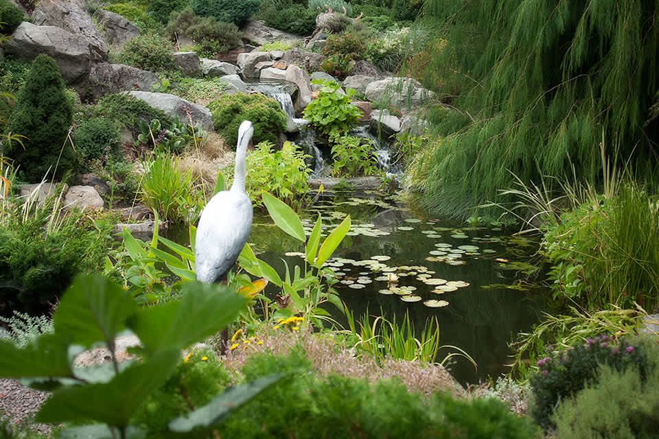 Pond-Andreatta-Waterscapes-Natural-Pond-Central-Point-Oregon