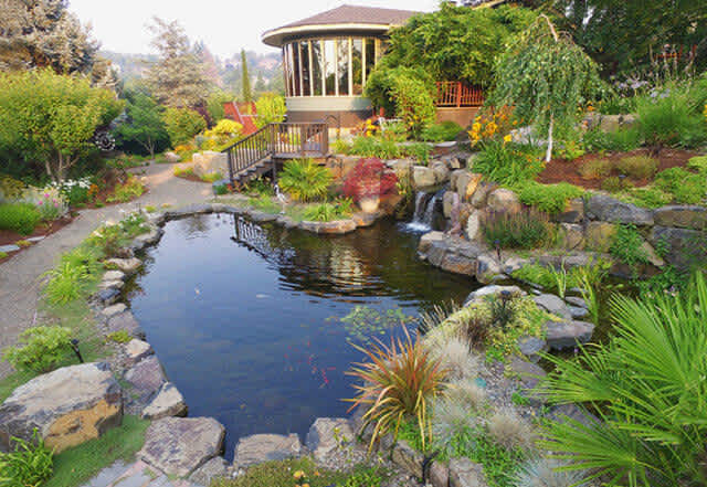 Koi Pond Andreatta Waterscapes Ashland Oregon