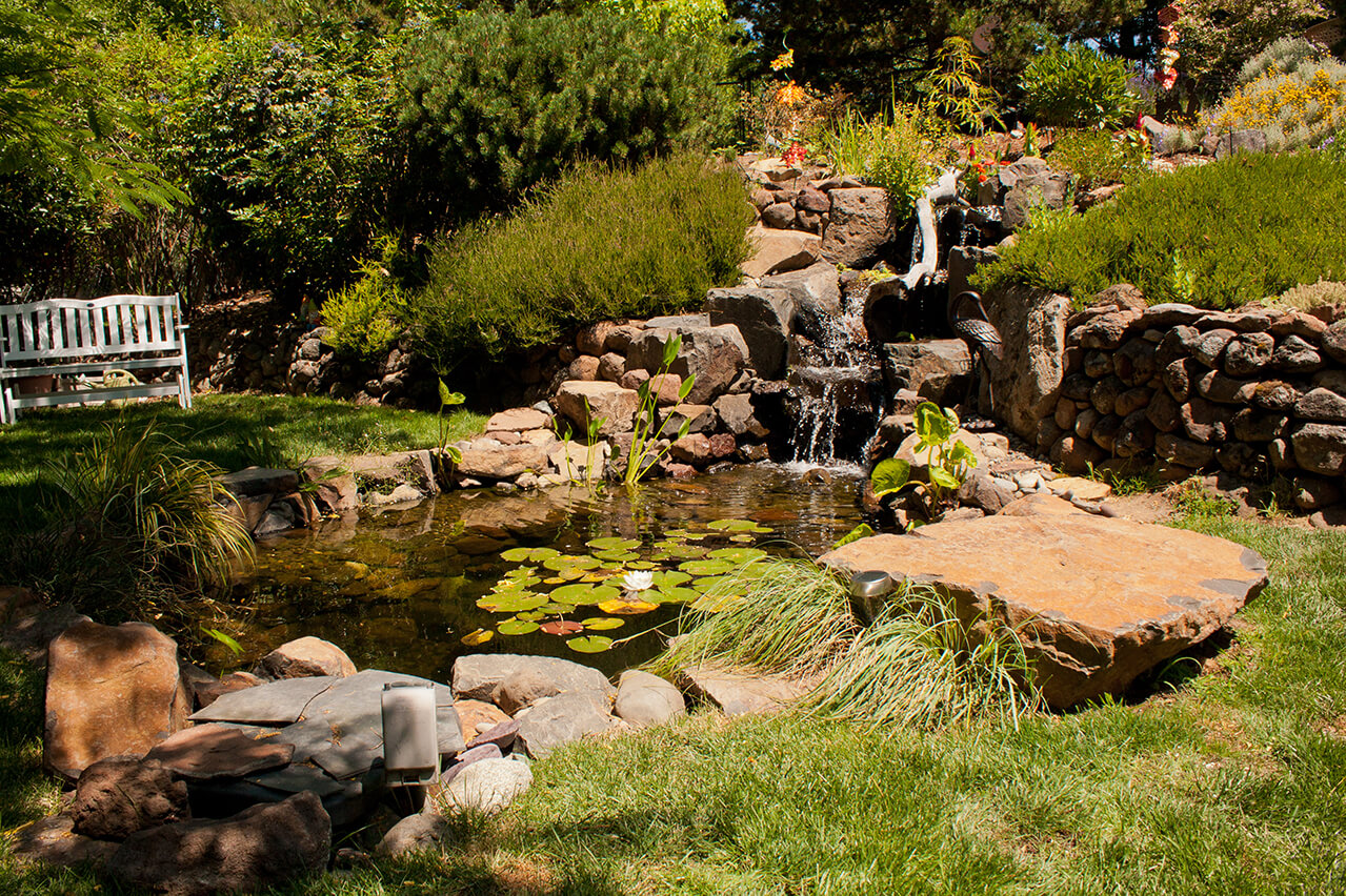 Koi Pond Waterfall Andreatta Waterscapes Ashland Oregon