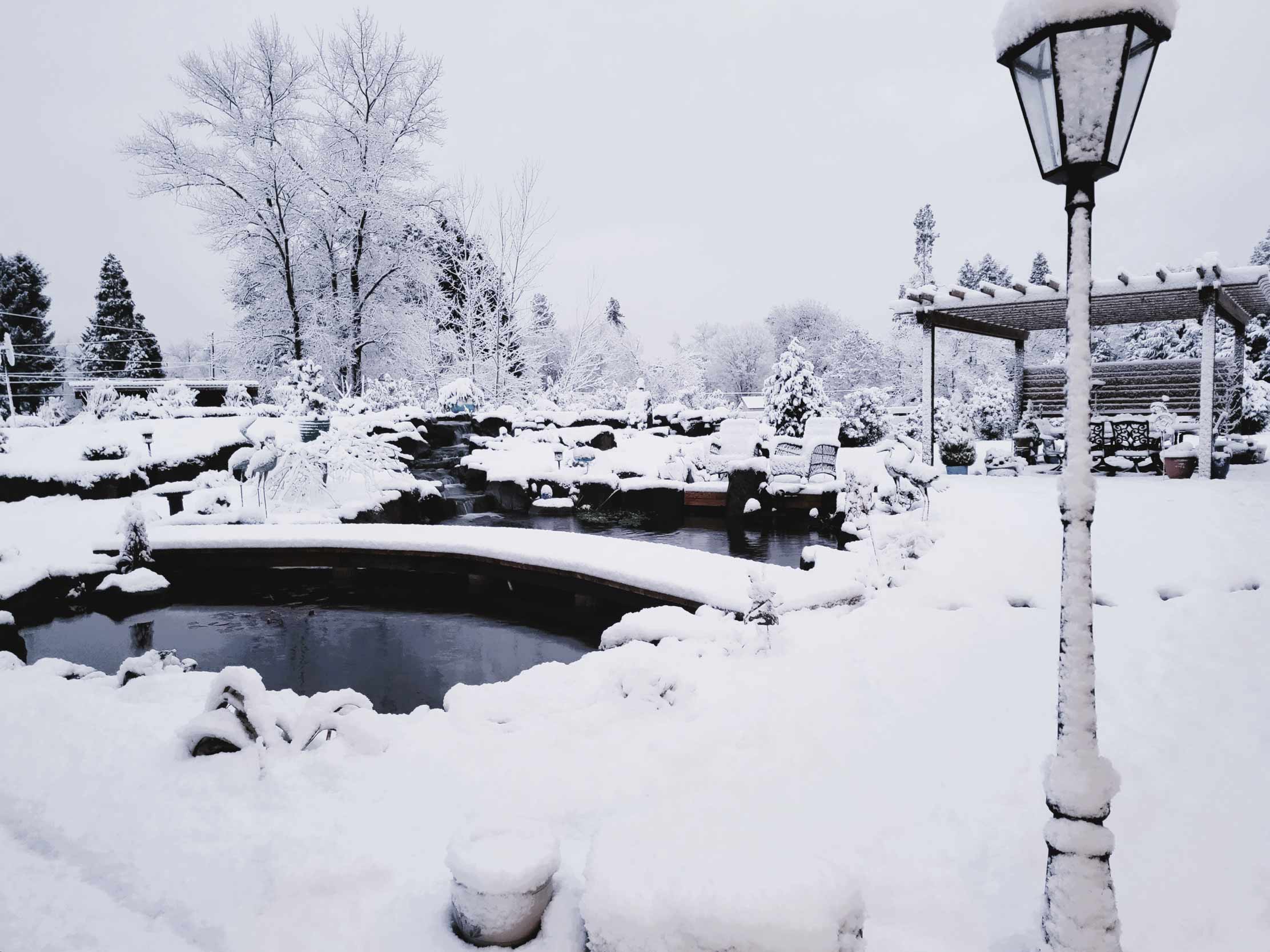 Winter-Koi-Pond Andreatta-Waterscapes Southern-Oregon