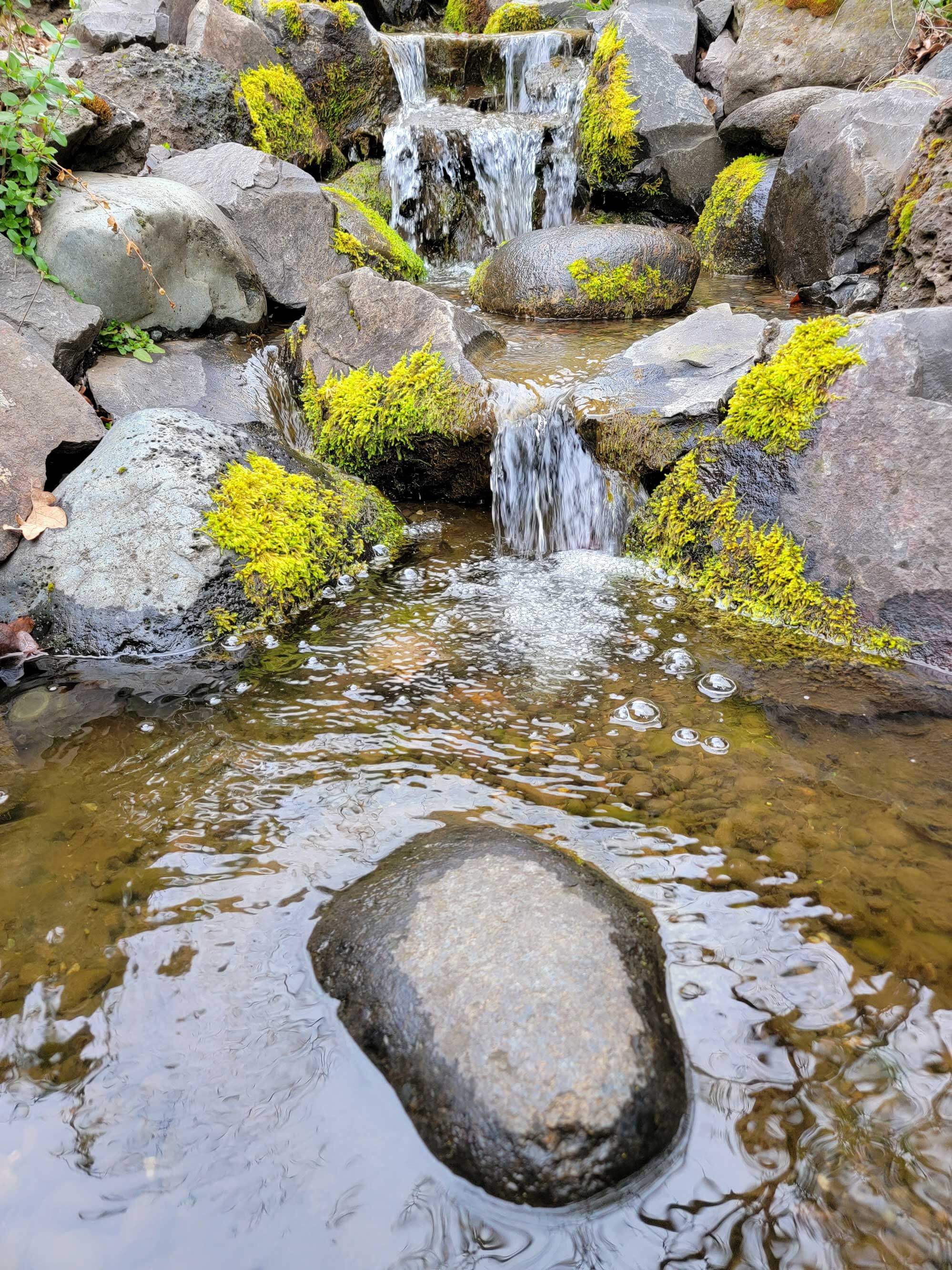 Waterfall-with-Mossy-Rocks Andreatta-Waterscapes Talent-Oregon