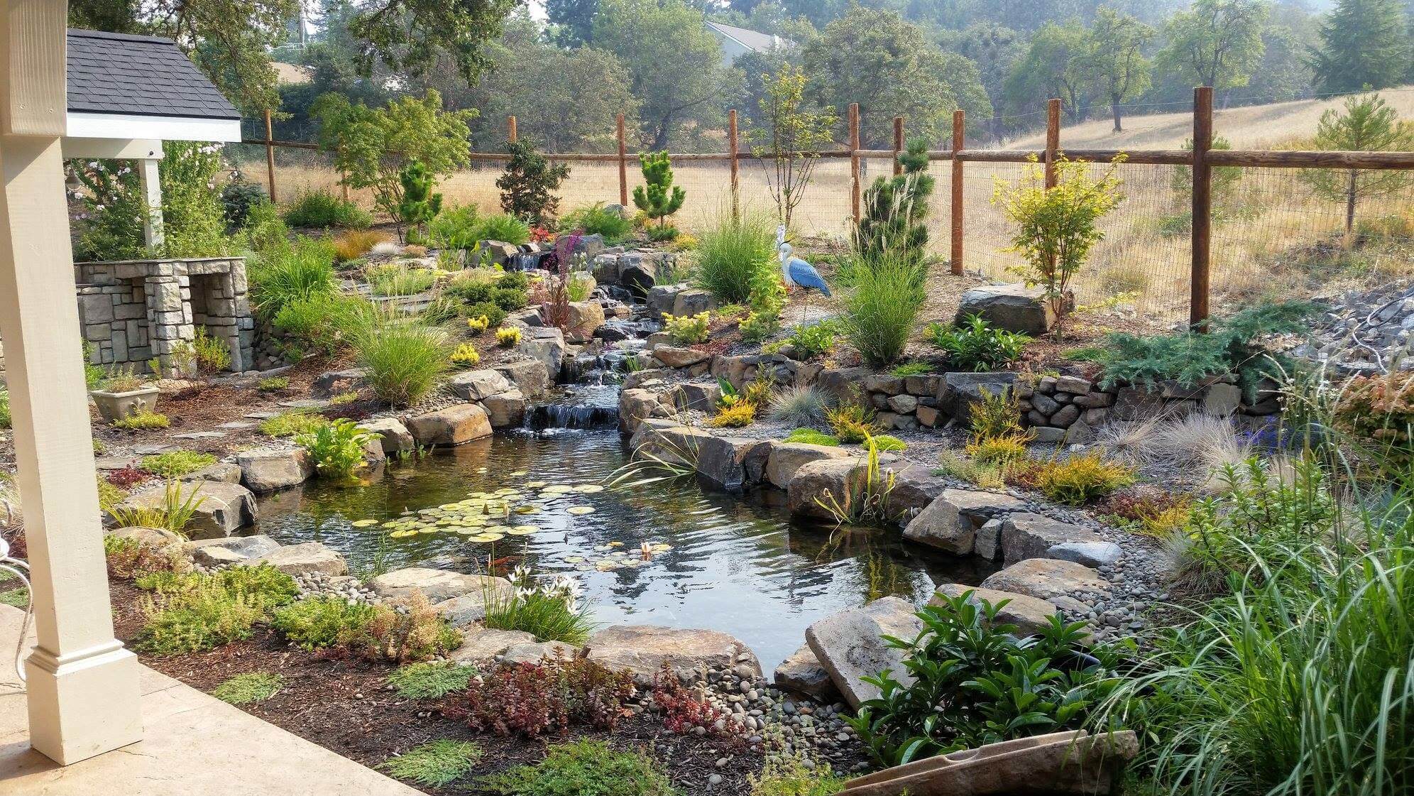 Mature Koi Pond Andreatta Waterscapes Jacksonville Oregon