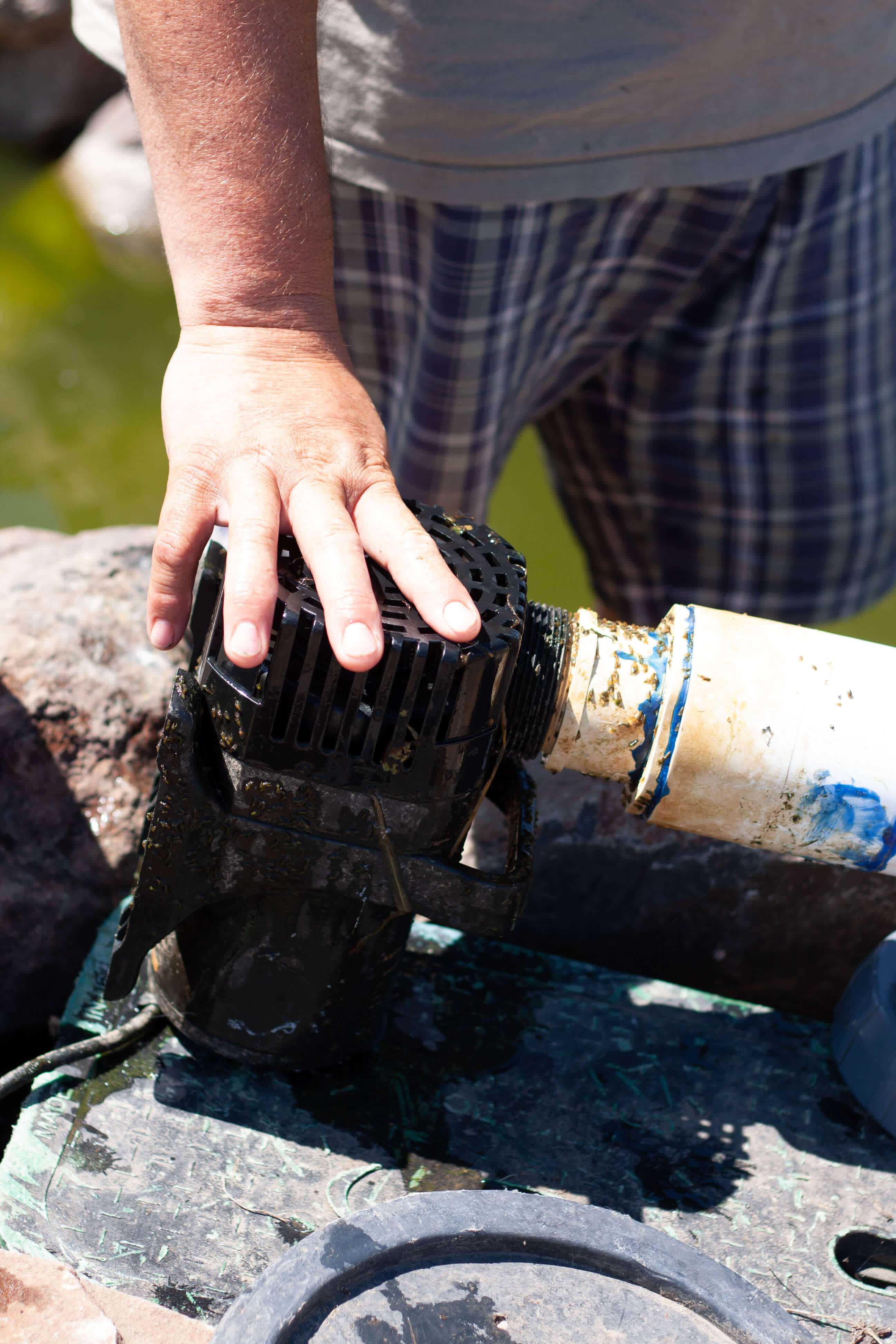 Pond Pump Repair Andreatta Waterscapes Central Point Oregon