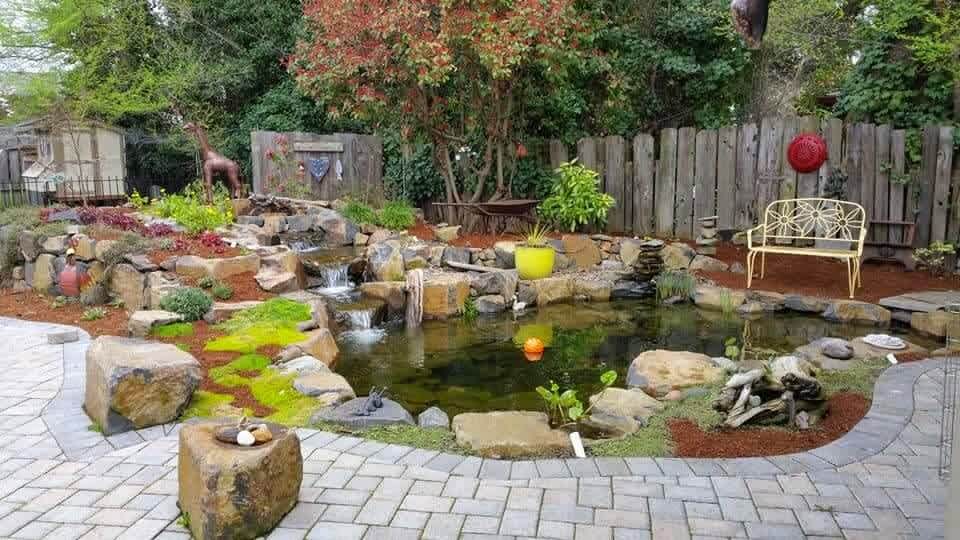 Koi Pond Andreatta Waterscapes Southern Oregon