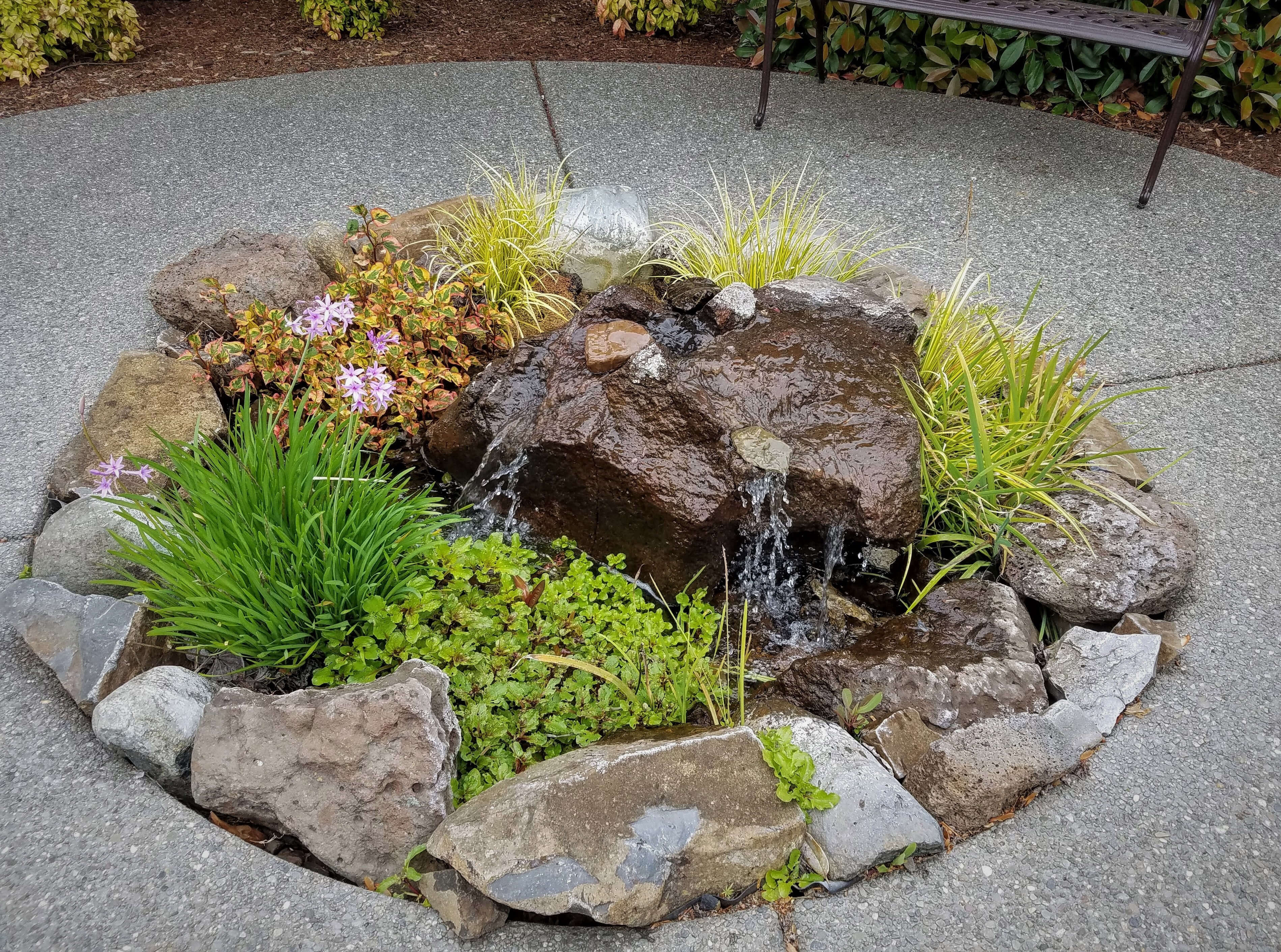 Patio Pond Andreatta Waterscapes Eagle Point Oregon