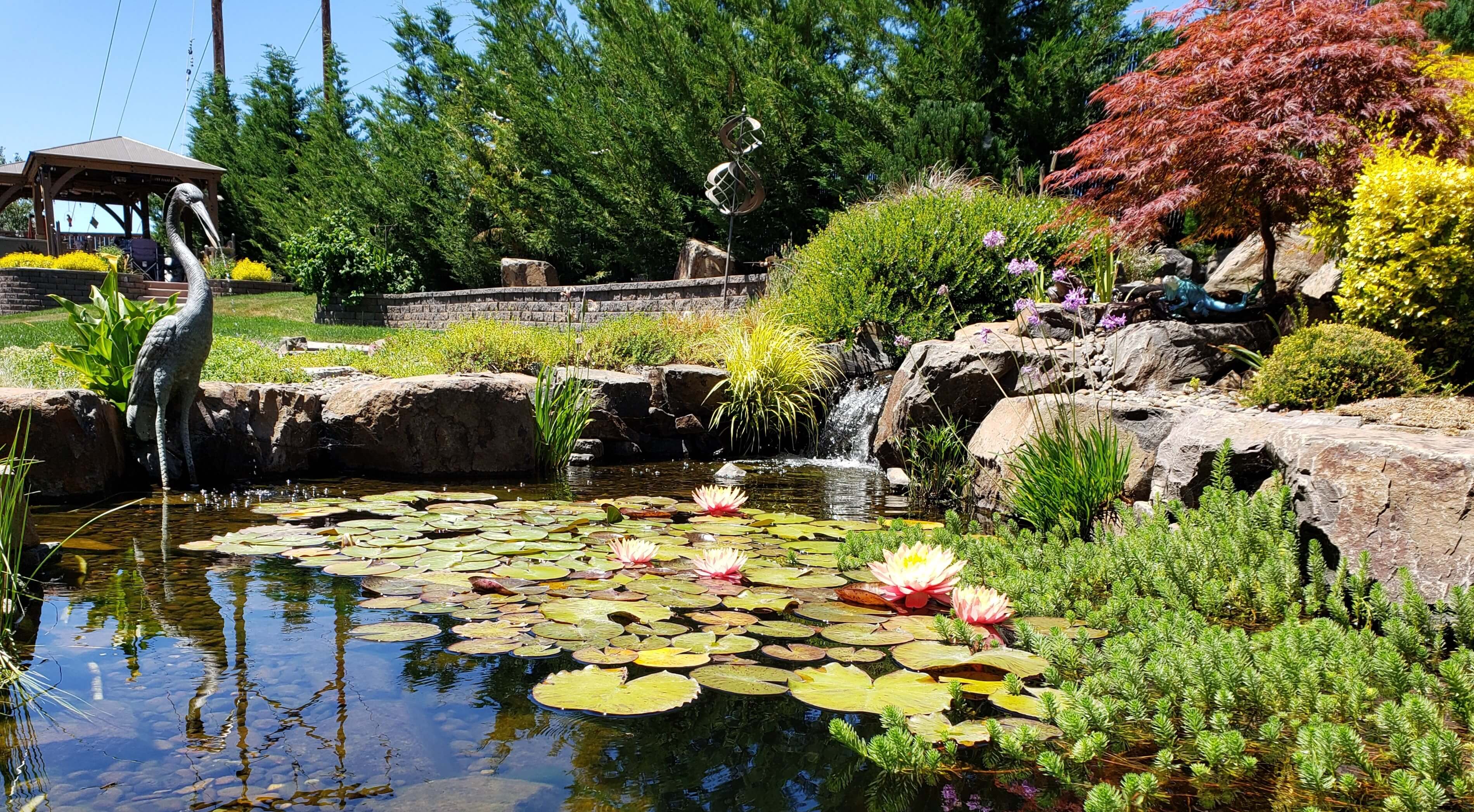 Water Feature Backyard Pond Andreatta Waterscapes Medford Oregon