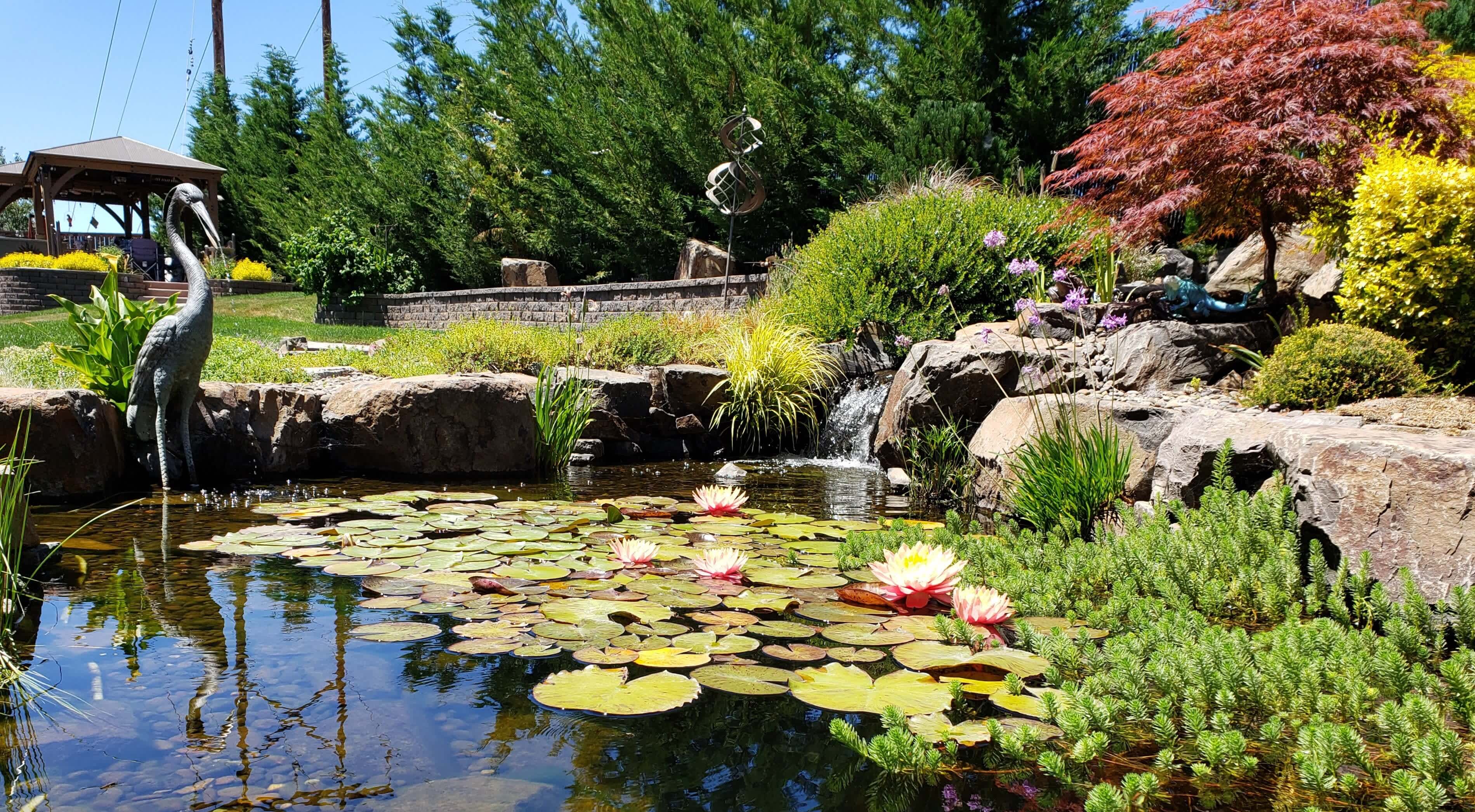 Water Feature Backyard Pond Andreatta Waterscapes Medford Oregon