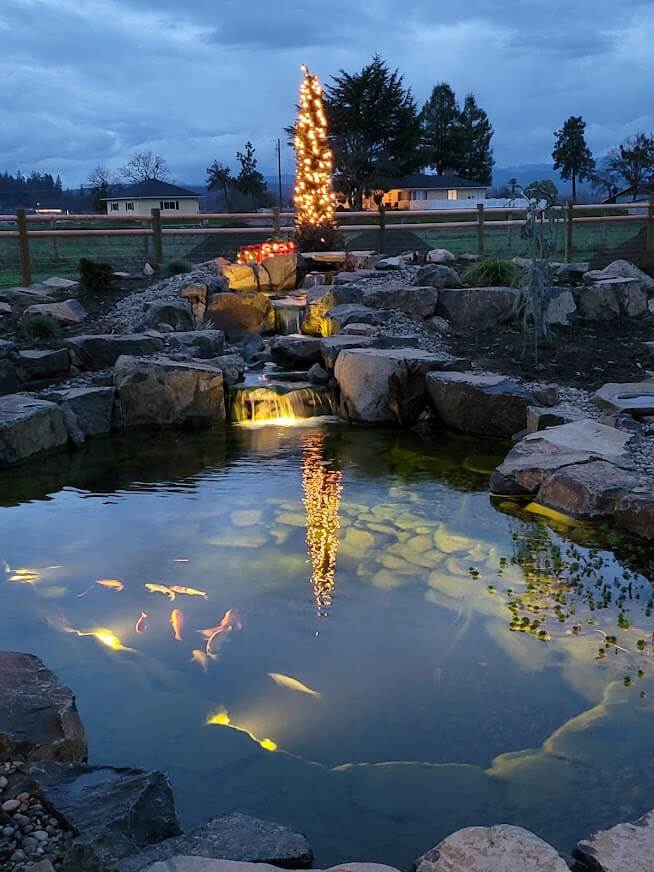 Night Pond Andreatta Waterscapes Central Point Oregon