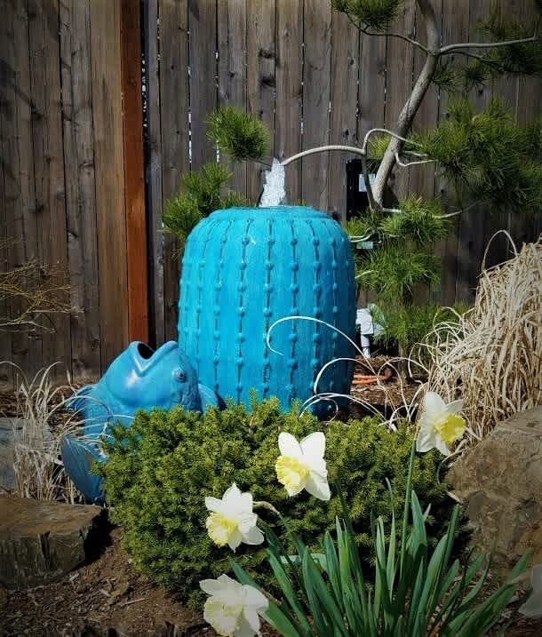 Bubbling Pot Andreatta Waterscapes Medford Oregon