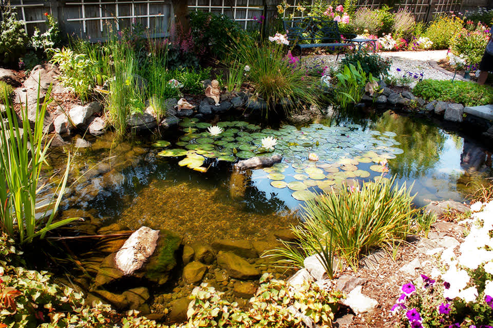 Andreatta Waterscapes Fish Pond Central Point Oregon