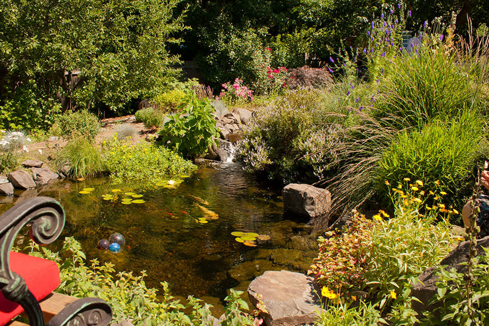 Andreatta Waterscapes Garden Pond Central Point Oregon