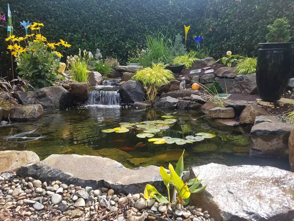 Backyard Pond Andreatta Waterscapes Ashland Oregon