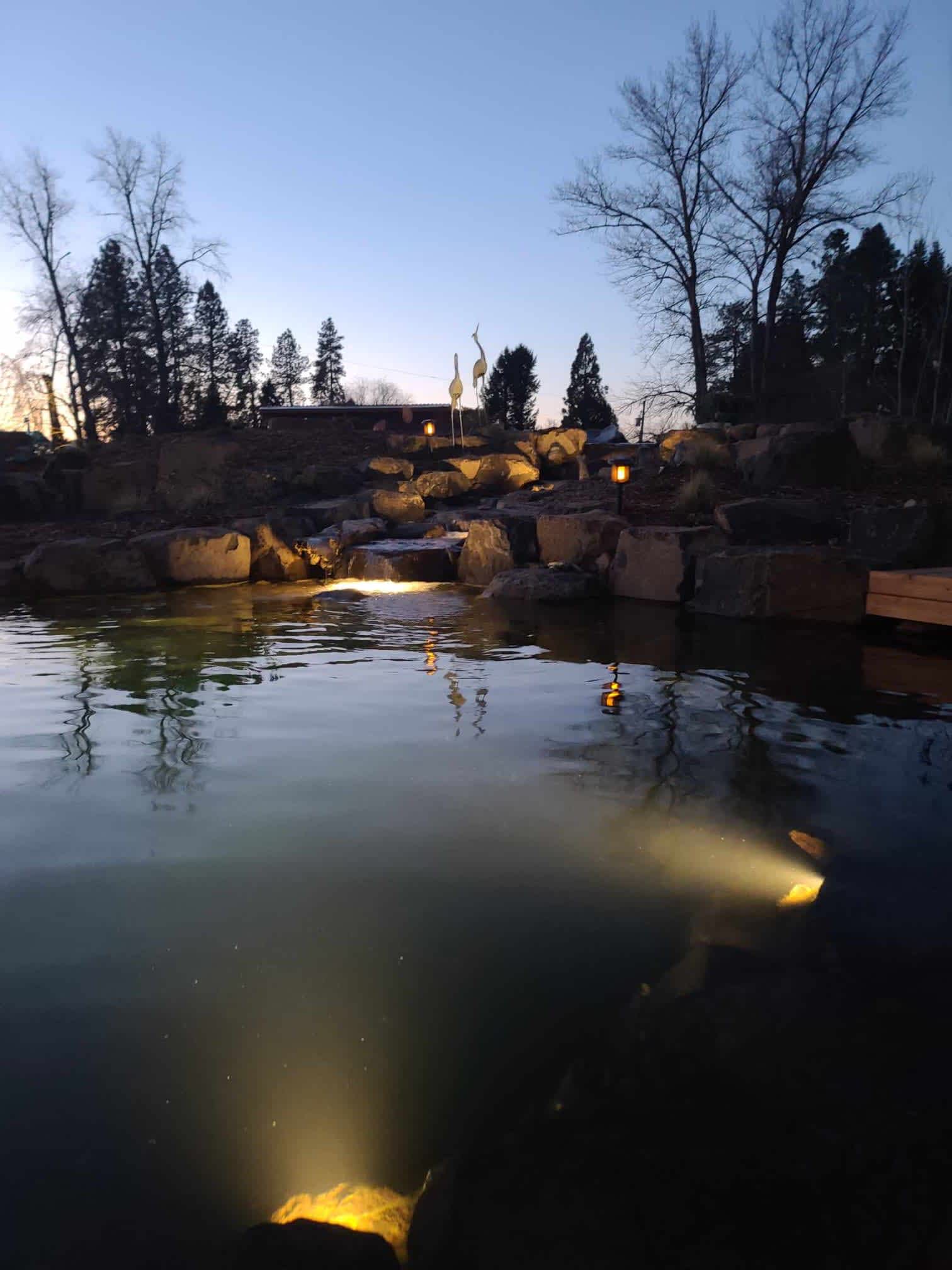 Koi Pond at Night Andreatta Waterscapes Grants Pass Oregon