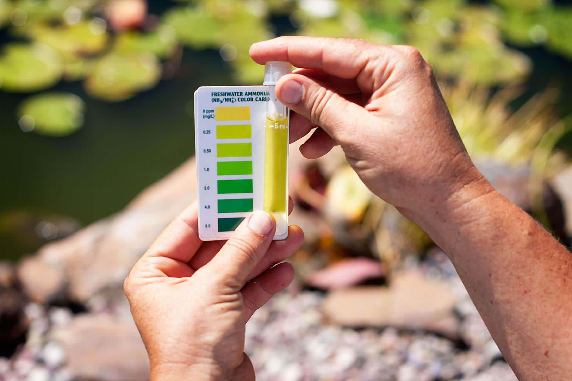 Water Quality Test Andreatta Waterscapes Central Point Oregon